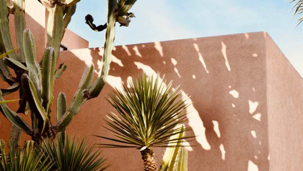 Les Jardins de la Siredrah - 3