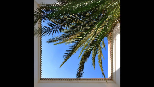 Luxury Suite - 40m² - Marrakech — 1-room, 40 sqm, 1 bedroom — photo 12