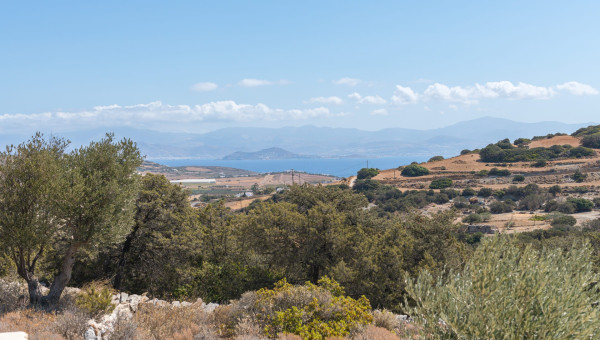 Villa de l'amitié - 3