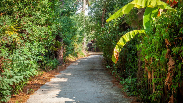 Villa des Oiseaux - 13