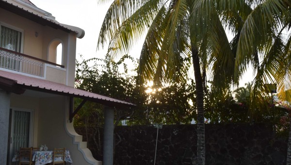 Bungalow Les Banians - 8