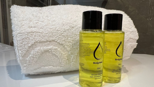 Appartement Champagne Powder - 9