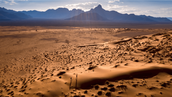 Villa Beyond the Dune - 4